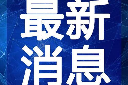 狍子先生爆料视频大全最新,揭秘娱乐圈不为人知的幕后故事  第2张